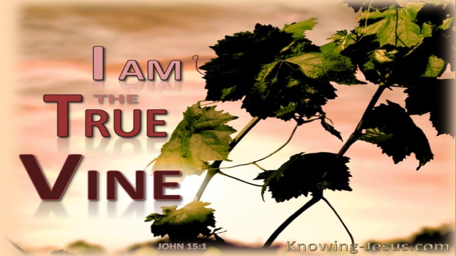 John 15:1 The True Vine (brown)